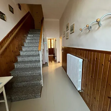 Tina Centro * 佩萨罗