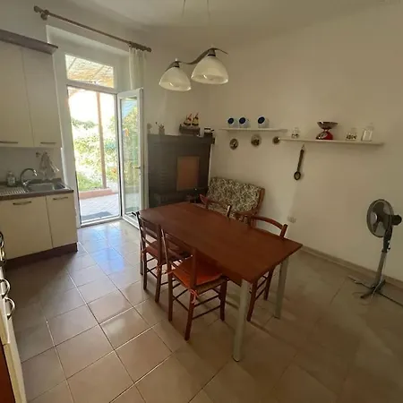 Tina Centro * 佩萨罗